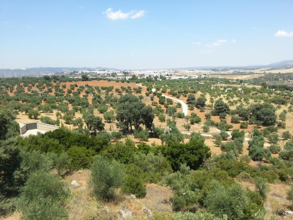 Casa Luna Country house Ronda